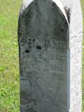 image of grave number 152217